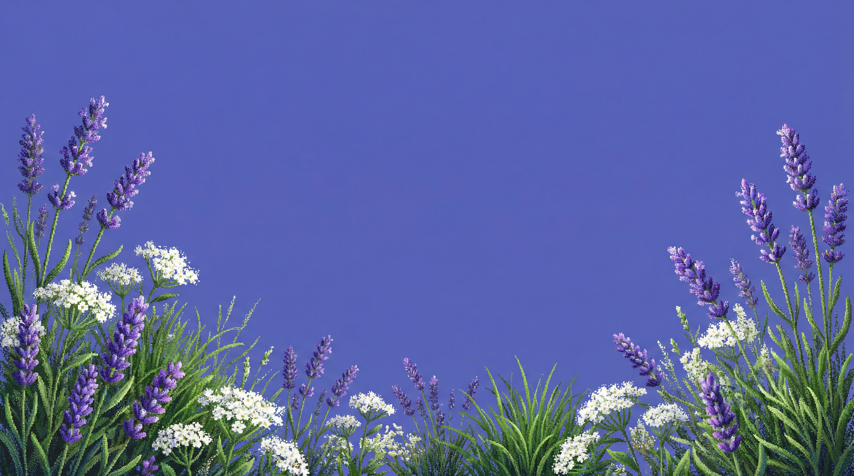 verticals.supplements.name